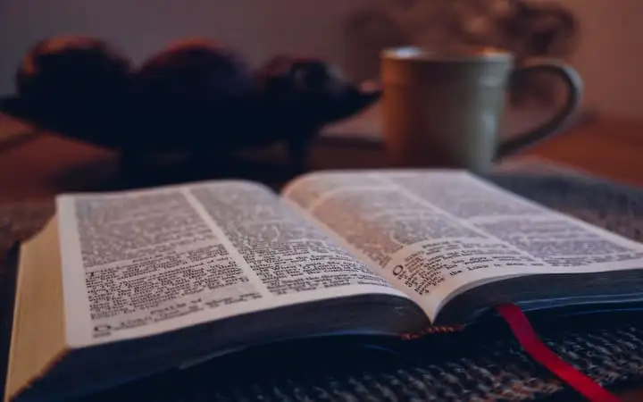 The false churches